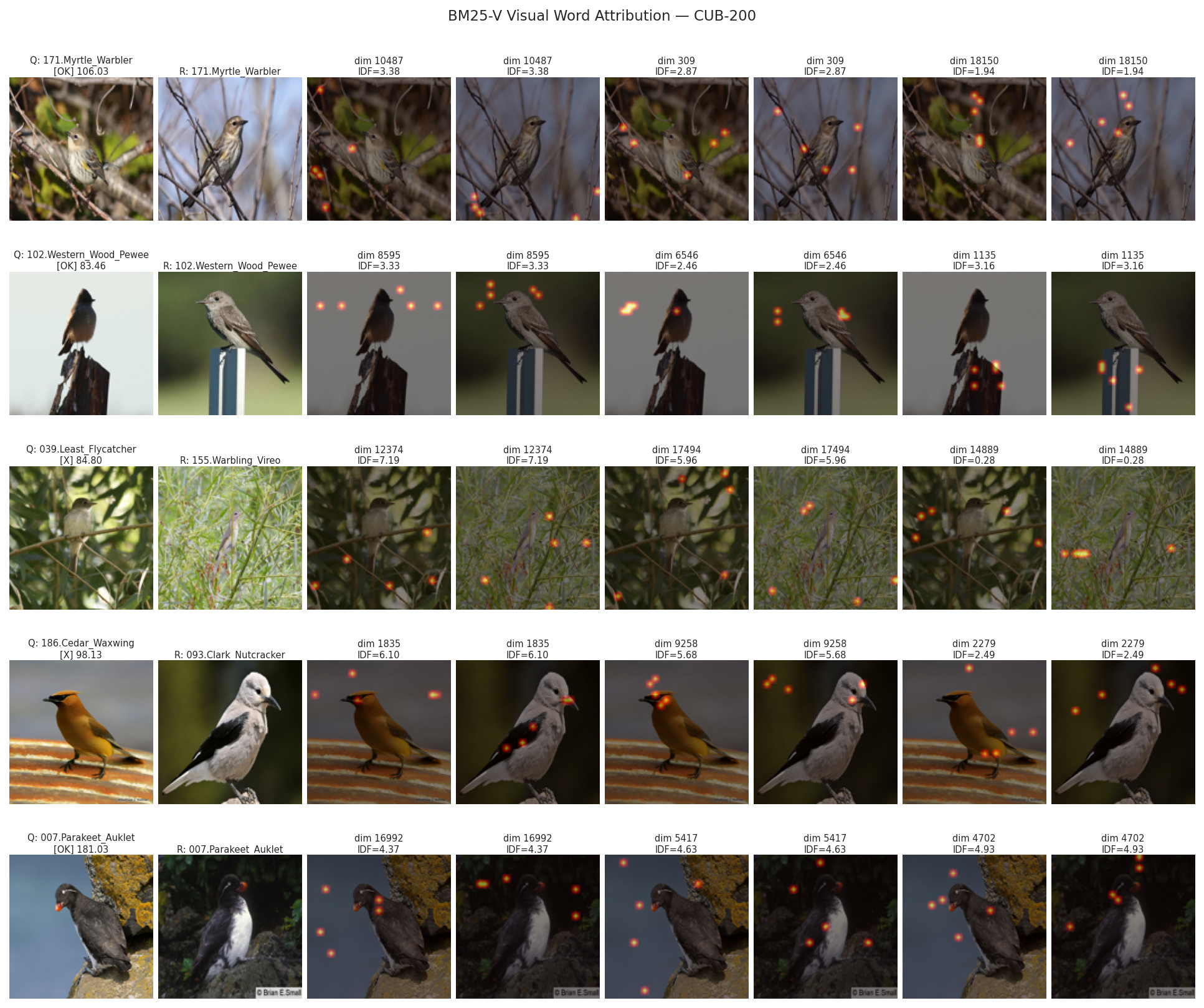 CUB-200 XAI attribution